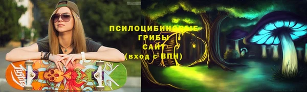гашик Вязники