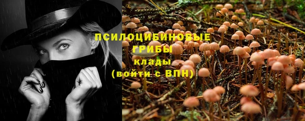 spice Волосово